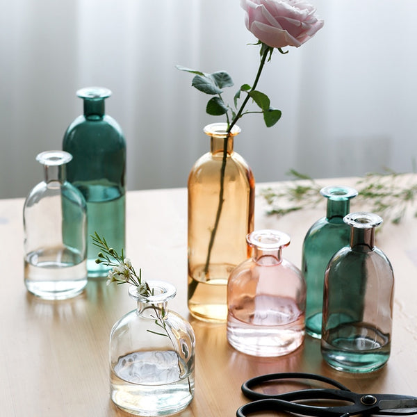 Vase Living Room Dried Flowers Nordic Ins Style Glass Transparent Dill Home Decoration Accessories Flower Vases For Homes - Shopsteria
