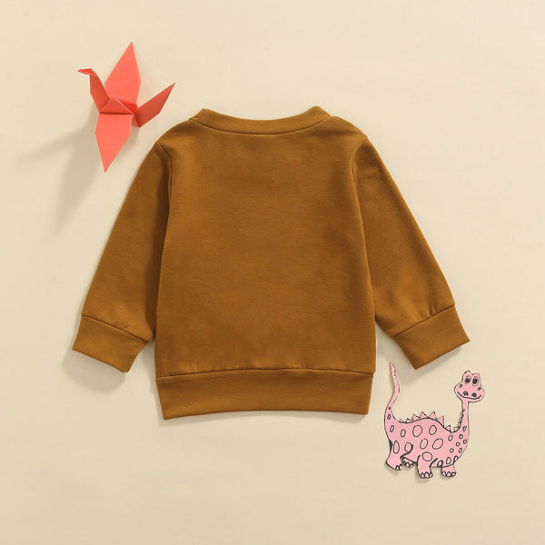 Autumn Baby Boys Sweater Outwear 3 Colors Long Sleeve Pullover - Shopsteria