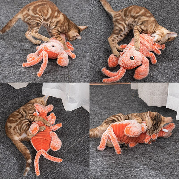 USB Pet Cat Toys  Floppy Lobster Interactive Cat Toy - Shopsteria