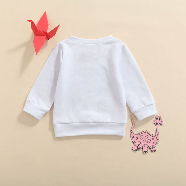 Autumn Baby Boys Sweater Outwear 3 Colors Long Sleeve Pullover - Shopsteria