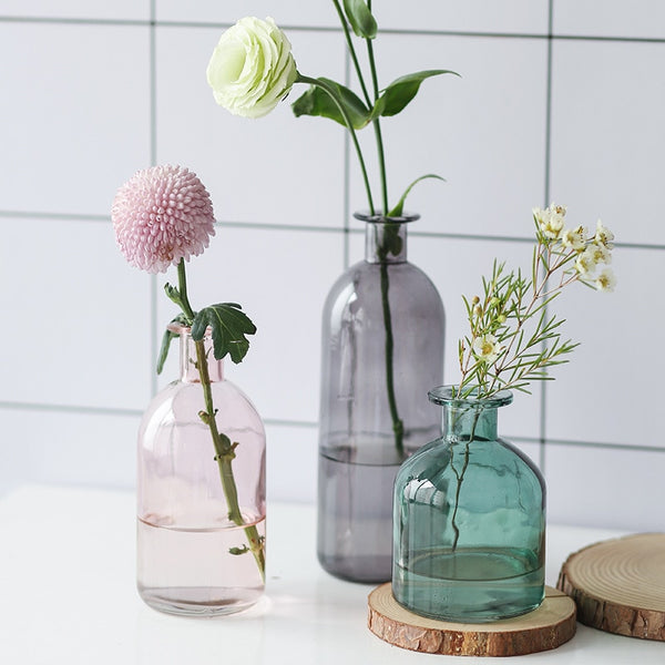Vase Living Room Dried Flowers Nordic Ins Style Glass Transparent Dill Home Decoration Accessories Flower Vases For Homes - Shopsteria