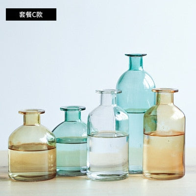 Vase Living Room Dried Flowers Nordic Ins Style Glass Transparent Dill Home Decoration Accessories Flower Vases For Homes - Shopsteria