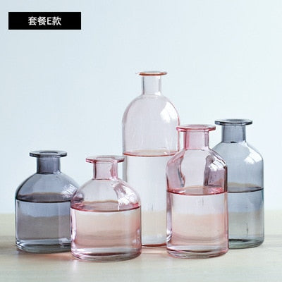 Vase Living Room Dried Flowers Nordic Ins Style Glass Transparent Dill Home Decoration Accessories Flower Vases For Homes - Shopsteria