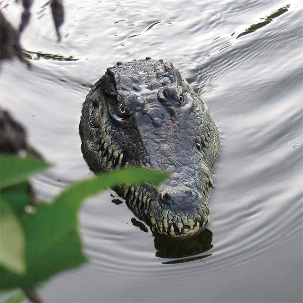RC Toy Prank Alligator Remote Control Toys Crocodile Head Robot Simulation Animal Scary Toys - Shopsteria