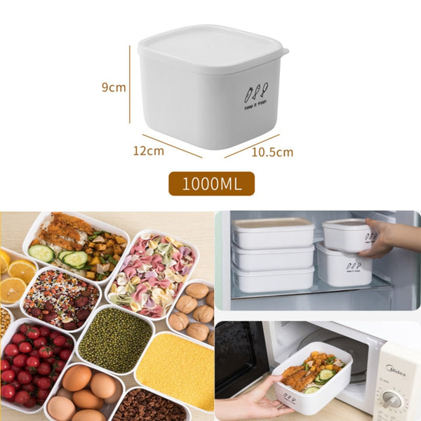 Fashionable Travel Lunch Box Cold or Hot Food - Shopsteria