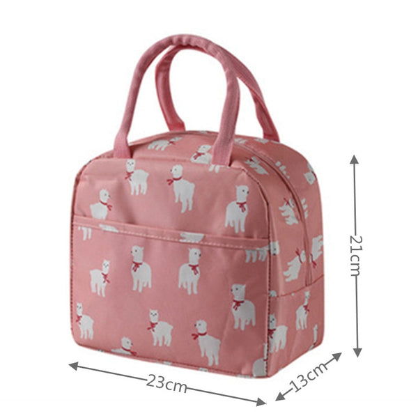 Fashionable Travel Lunch Box Cold or Hot Food - Shopsteria