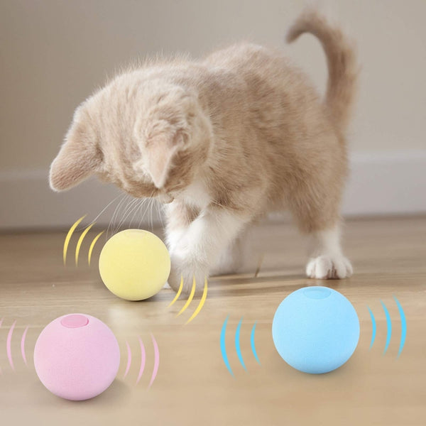 Smart Interactive Cat Toy Ball For Playing & Training - Shopsteria