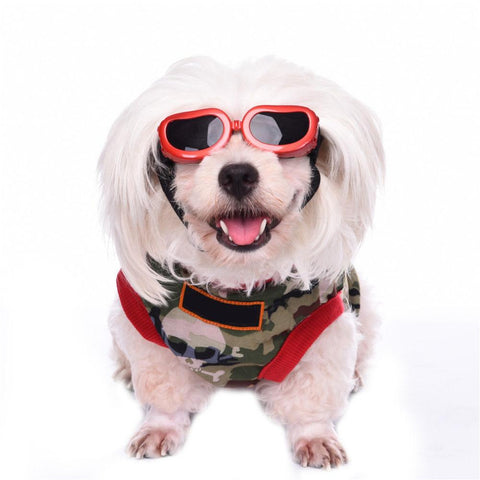 Sunglasses Eye Protection For Pets Cute Fashion - Shopsteria