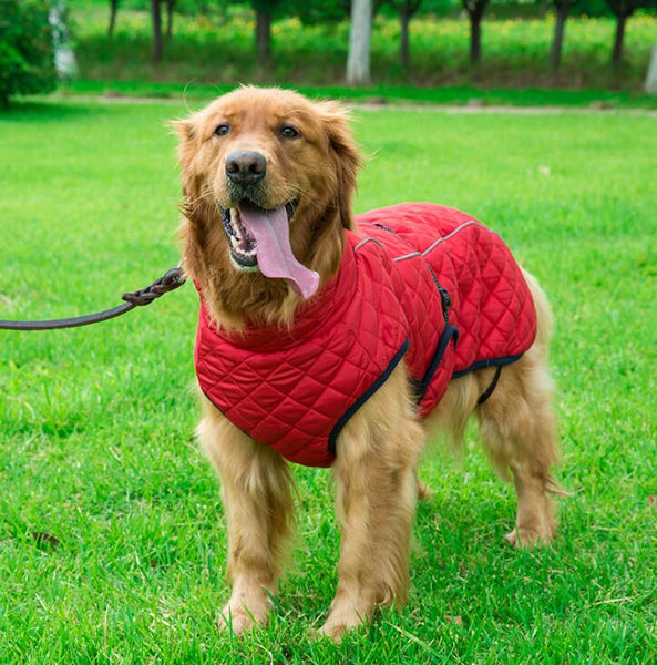 Dog Clothes Winter Thickening Warm Pet Reflective Outdoor Jacket Coat - Shopsteria