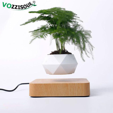 Hot Sale Levitating Air Bonsai Pot Rotation Planters Magnetic Levitation Suspension Flower Floating Pot Potted Plant Desk Decor - Shopsteria007