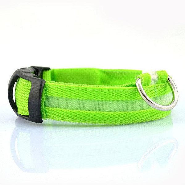 LED Pet Dog Collar,Night Safety Flashing Glow In The Dark Dog Leash,Dogs Luminous Fluorescent Collars Pet Supplies - Shopsteria007