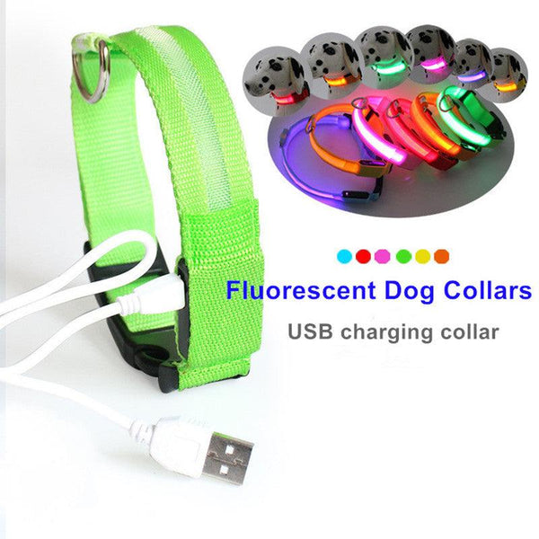 LED Pet Dog Collar,Night Safety Flashing Glow In The Dark Dog Leash,Dogs Luminous Fluorescent Collars Pet Supplies - Shopsteria007