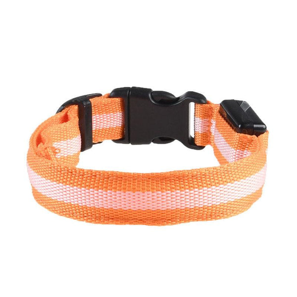 LED Pet Dog Collar,Night Safety Flashing Glow In The Dark Dog Leash,Dogs Luminous Fluorescent Collars Pet Supplies - Shopsteria007