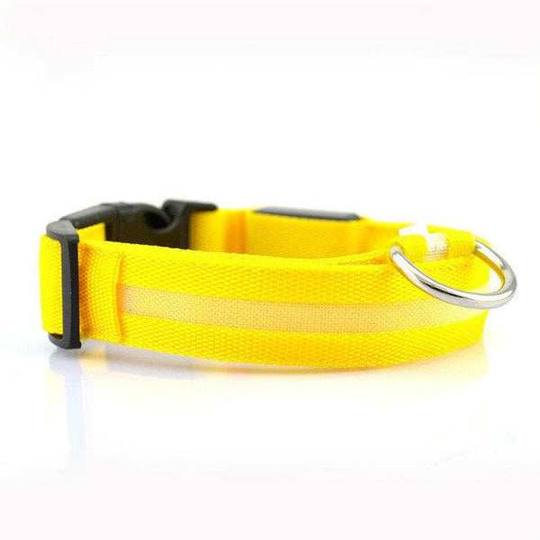 LED Pet Dog Collar,Night Safety Flashing Glow In The Dark Dog Leash,Dogs Luminous Fluorescent Collars Pet Supplies - Shopsteria007