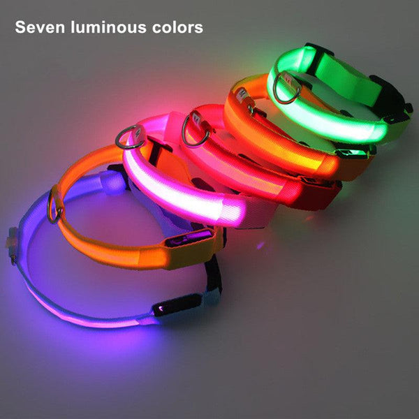 LED Pet Dog Collar,Night Safety Flashing Glow In The Dark Dog Leash,Dogs Luminous Fluorescent Collars Pet Supplies - Shopsteria007